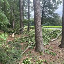 Front-Yard-Cleared-Out-Storm-Damage-in-Denton-MD 8